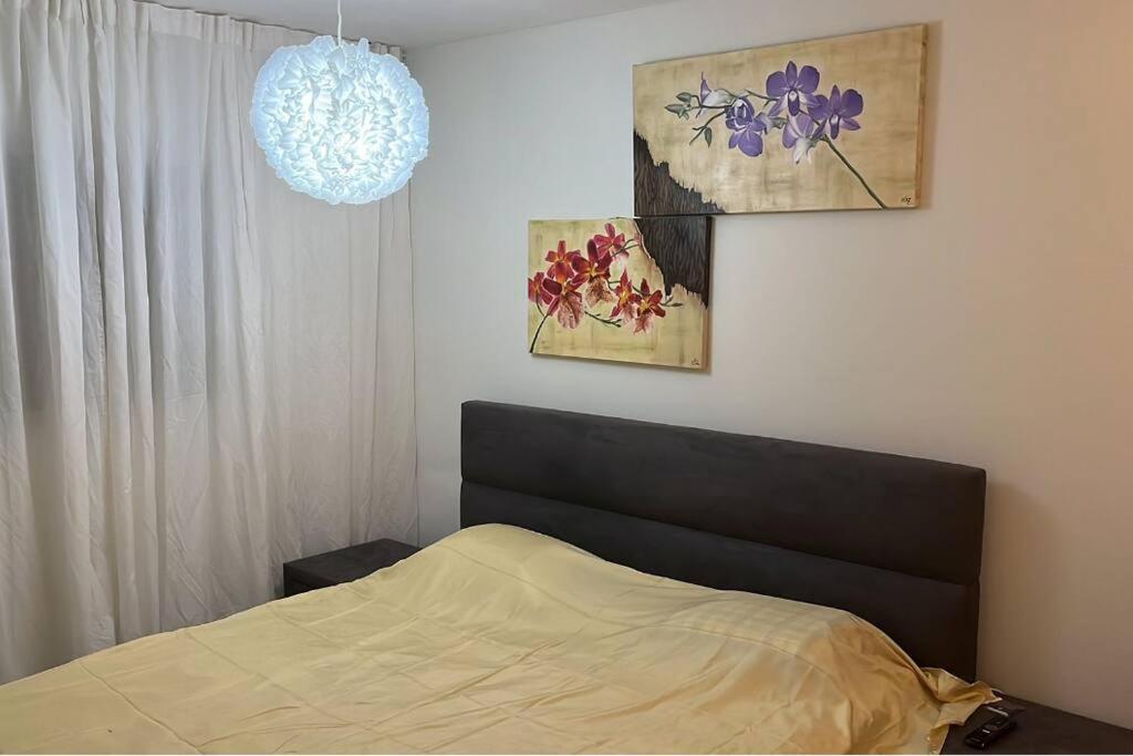 לופט כפרי / אלגנטי מקסים + חניה ללא תשלום Apartamento Asdode Exterior foto